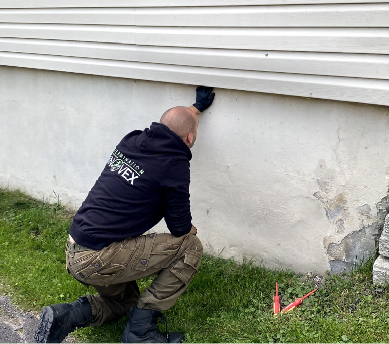 Exterminateur inspectant les ouvertures sur une maison.