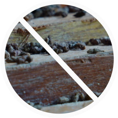 Excrements de rongeurs.